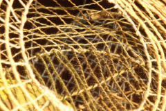 Arahna-Installation 2004