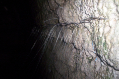 Delicate vibes_Installation 2007